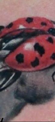 photo ladybug tattoo 17.04.2019 №033 – idea for ladybug tattoo – tattoovalue.net
