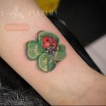 photo ladybug tattoo 17.04.2019 №034 - idea for ladybug tattoo - tattoovalue.net