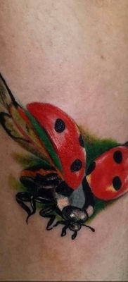 photo ladybug tattoo 17.04.2019 №036 – idea for ladybug tattoo – tattoovalue.net