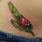 photo ladybug tattoo 17.04.2019 №039 - idea for ladybug tattoo - tattoovalue.net