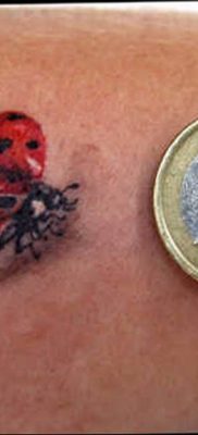 photo ladybug tattoo 17.04.2019 №040 – idea for ladybug tattoo – tattoovalue.net