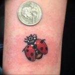 photo ladybug tattoo 17.04.2019 №042 - idea for ladybug tattoo - tattoovalue.net