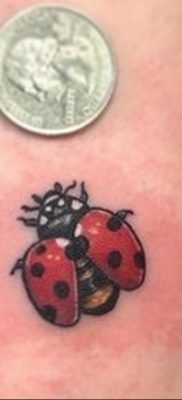 photo ladybug tattoo 17.04.2019 №042 – idea for ladybug tattoo – tattoovalue.net