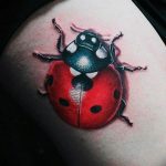 photo ladybug tattoo 17.04.2019 №043 - idea for ladybug tattoo - tattoovalue.net