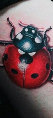 photo ladybug tattoo 17.04.2019 №043 – idea for ladybug tattoo – tattoovalue.net