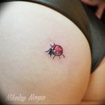 photo ladybug tattoo 17.04.2019 №044 - idea for ladybug tattoo - tattoovalue.net