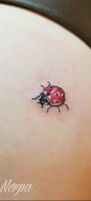 photo ladybug tattoo 17.04.2019 №044 – idea for ladybug tattoo – tattoovalue.net