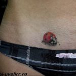 photo ladybug tattoo 17.04.2019 №046 - idea for ladybug tattoo - tattoovalue.net