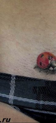 photo ladybug tattoo 17.04.2019 №046 – idea for ladybug tattoo – tattoovalue.net