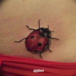 Detailed, realistic ladybug tattoo on the lower abdomen, featuring vibrant red and black colors and intricate shading. A striking insect tattoo.