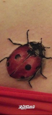 photo ladybug tattoo 17.04.2019 №047 – idea for ladybug tattoo – tattoovalue.net
