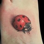 photo ladybug tattoo 17.04.2019 №048 - idea for ladybug tattoo - tattoovalue.net