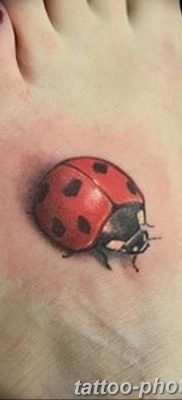 photo ladybug tattoo 17.04.2019 №048 – idea for ladybug tattoo – tattoovalue.net