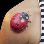 photo ladybug tattoo 17.04.2019 №049 - idea for ladybug tattoo - tattoovalue.net
