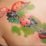 photo ladybug tattoo 17.04.2019 №050 - idea for ladybug tattoo - tattoovalue.net