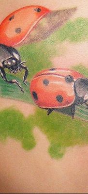 photo ladybug tattoo 17.04.2019 №050 – idea for ladybug tattoo – tattoovalue.net