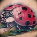 photo ladybug tattoo 17.04.2019 №051 - idea for ladybug tattoo - tattoovalue.net