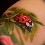 photo ladybug tattoo 17.04.2019 №053 - idea for ladybug tattoo - tattoovalue.net