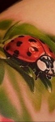 photo ladybug tattoo 17.04.2019 №053 – idea for ladybug tattoo – tattoovalue.net