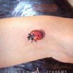 photo ladybug tattoo 17.04.2019 №055 - idea for ladybug tattoo - tattoovalue.net