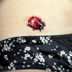photo ladybug tattoo 17.04.2019 №056 - idea for ladybug tattoo - tattoovalue.net