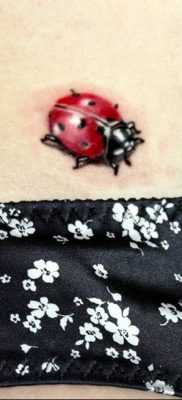 photo ladybug tattoo 17.04.2019 №056 – idea for ladybug tattoo – tattoovalue.net