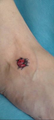 photo ladybug tattoo 17.04.2019 №057 – idea for ladybug tattoo – tattoovalue.net