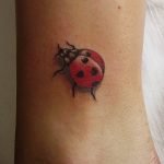 photo ladybug tattoo 17.04.2019 №059 - idea for ladybug tattoo - tattoovalue.net