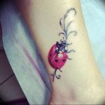 photo ladybug tattoo 17.04.2019 №064 - idea for ladybug tattoo - tattoovalue.net
