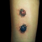 Two ladybug tattoos on the forearm, one red and one blue, showcasing a playful and unique tattoo design with realistic shading.