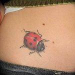 photo ladybug tattoo 17.04.2019 №066 - idea for ladybug tattoo - tattoovalue.net