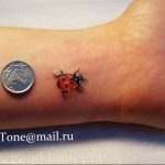 photo ladybug tattoo 17.04.2019 №067 - idea for ladybug tattoo - tattoovalue.net