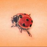 photo ladybug tattoo 17.04.2019 №068 - idea for ladybug tattoo - tattoovalue.net