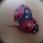 photo ladybug tattoo 17.04.2019 №069 - idea for ladybug tattoo - tattoovalue.net