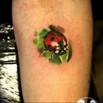 photo ladybug tattoo 17.04.2019 №071 - idea for ladybug tattoo - tattoovalue.net