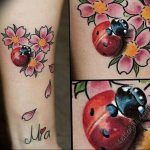 photo ladybug tattoo 17.04.2019 №073 - idea for ladybug tattoo - tattoovalue.net