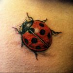photo ladybug tattoo 17.04.2019 №075 - idea for ladybug tattoo - tattoovalue.net