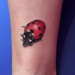 photo ladybug tattoo 17.04.2019 №077 - idea for ladybug tattoo - tattoovalue.net