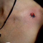 photo ladybug tattoo 17.04.2019 №078 - idea for ladybug tattoo - tattoovalue.net