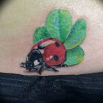 photo ladybug tattoo 17.04.2019 №079 - idea for ladybug tattoo - tattoovalue.net