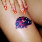 photo ladybug tattoo 17.04.2019 №085 - idea for ladybug tattoo - tattoovalue.net