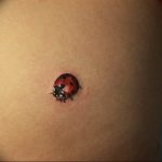 photo ladybug tattoo 17.04.2019 №087 - idea for ladybug tattoo - tattoovalue.net