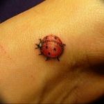photo ladybug tattoo 17.04.2019 №091 - idea for ladybug tattoo - tattoovalue.net