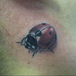 photo ladybug tattoo 17.04.2019 №096 - idea for ladybug tattoo - tattoovalue.net