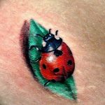 photo ladybug tattoo 17.04.2019 №097 - idea for ladybug tattoo - tattoovalue.net