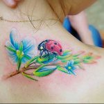 photo ladybug tattoo 17.04.2019 №101 - idea for ladybug tattoo - tattoovalue.net