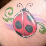 photo ladybug tattoo 17.04.2019 №102 - idea for ladybug tattoo - tattoovalue.net
