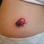 photo ladybug tattoo 17.04.2019 №104 - idea for ladybug tattoo - tattoovalue.net