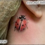 photo ladybug tattoo 17.04.2019 №105 - idea for ladybug tattoo - tattoovalue.net