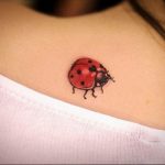 photo ladybug tattoo 17.04.2019 №107 - idea for ladybug tattoo - tattoovalue.net